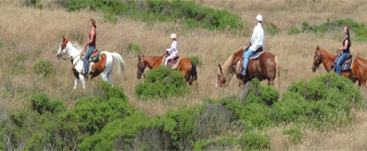 Balade à cheval sur la plage à proximité de la baie de San Francisco et de Monterey.jpeg